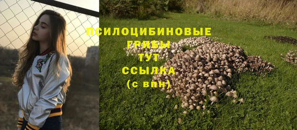 ГАЛЛЮЦИНОГЕННЫЕ ГРИБЫ Лихославль