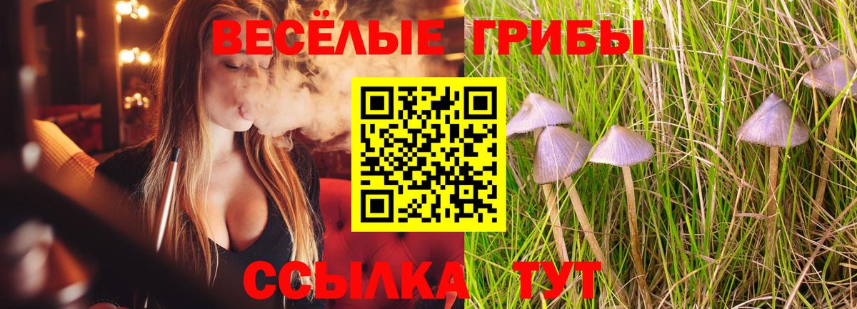 магазин продажи наркотиков  Вход с VPN  Галлюциногенные грибы прущие грибы  Лангепас  Псилоцибиновые грибы мицелий 